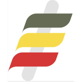 Renault-Castrol RN-SPEC 5W30 RN17 1L